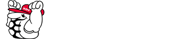 Skandinavisk Dekk Import logo